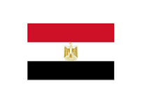  الأستاذ/ محمد سعيد